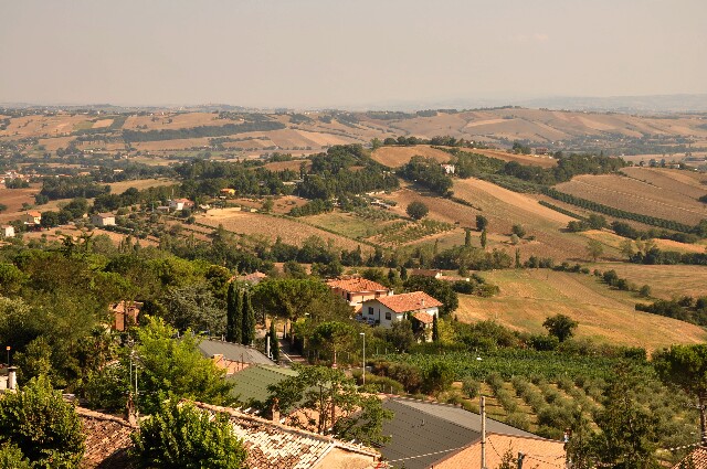 min 2009 08 22 mondavio 216